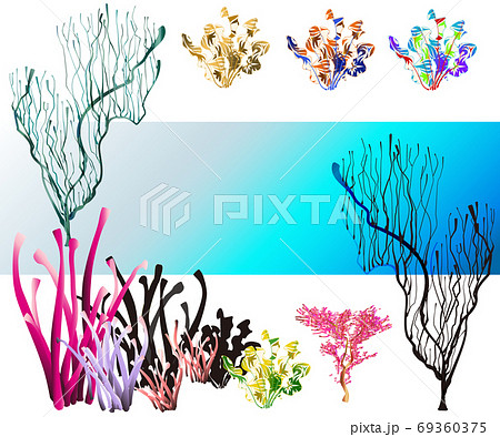 海のサンゴと海藻 カラフルなセットのイラスト素材