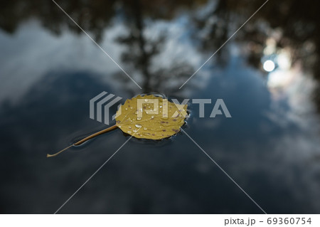 A lonely leaf in the lake water, autumn forest A lonely leaf in the lake water, autumn forest 69360754