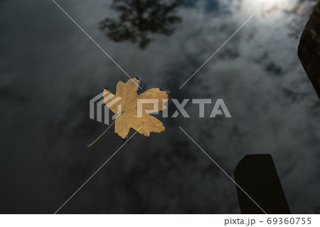 A lonely leaf in the lake water, autumn forest A lonely leaf in the lake water, autumn forest 69360755