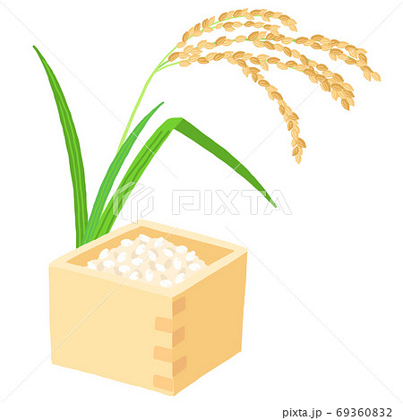 升 枡に入ったお米と稲穂のイラスト素材