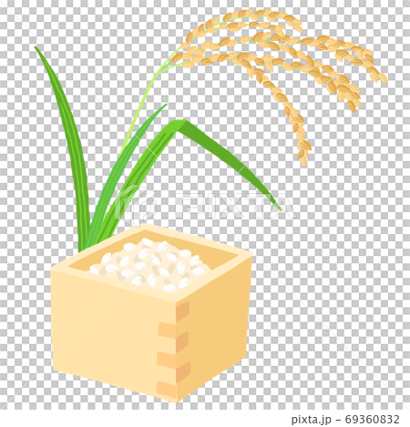 一盒飯和米耳 69360832