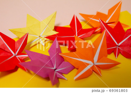 かえで もみじ 折り紙の写真素材