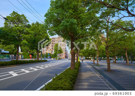 神奈川県川崎市中原区下沼部の南武線向河原駅踏切へ向かう通り(東側方面) 神奈川県川崎市中原区下沼部の南武線向河原駅踏切へ向かう通り(東側方面) 69361903