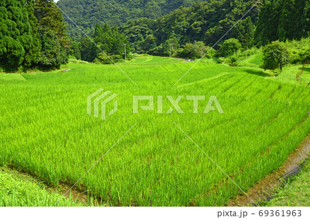 ≪京都 丹後 上世屋の棚田≫ 京都府宮津市 世屋高原 ≪京都 丹後 上世屋の棚田≫ 京都府宮津市 世屋高原 69361963