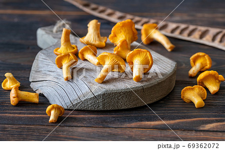 Fresh chanterelles Fresh chanterelles 69362072