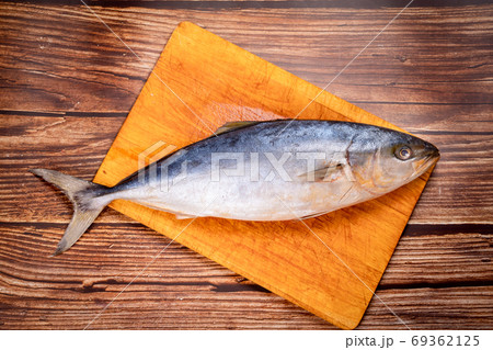 raw mackerel. prepare dishes from fish. 69362125