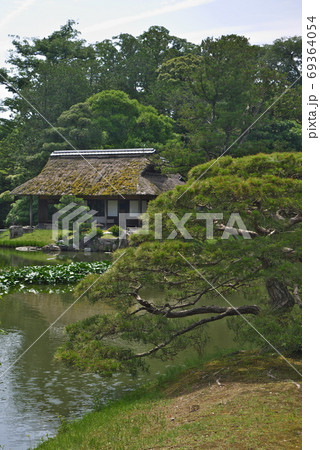 桂離宮 住吉の松 京都 桂離宮 住吉の松 京都 69364054