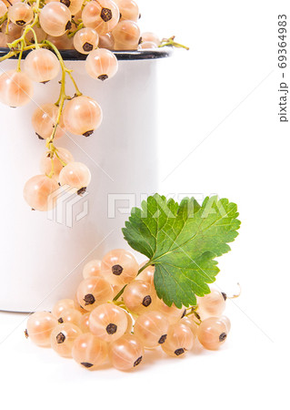 White cup with white currant berry in it and small bunch of whit 69364983