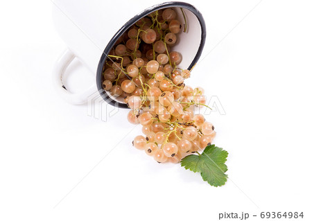 White cup with white currant berry in it and small bunch of whit 69364984