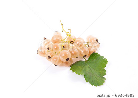 White currant berry isolated on white. A bunch of white currant. 69364985
