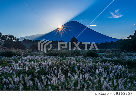 （静岡県）朝霧高原のチカラシバと、富士山腹のダイヤモンド 69365257