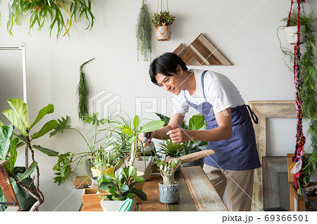 観葉植物を手入れする若い男性の写真素材