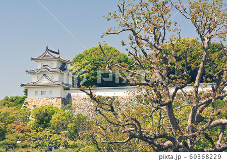 日本100名城・明石城 日本100名城・明石城 69368229