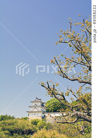 日本100名城・明石城 日本100名城・明石城 69368232