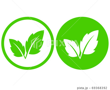 natural eco green leaves and branch icon natural eco green leaves and branch icon 69368392