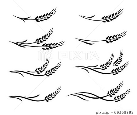 black wheat ears and oats icons set black wheat ears and oats icons set 69368395