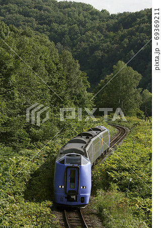 緑の中を駆ける特急サロベツ　宗谷本線 69369211