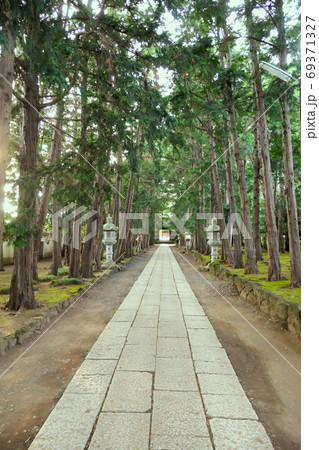 世田谷喜多見慶元寺の参道と並木 世田谷喜多見慶元寺の参道と並木 69371327