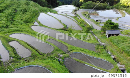 徳島県 棚田百選 樫原の春の棚田 徳島県 棚田百選 樫原の春の棚田 69371516