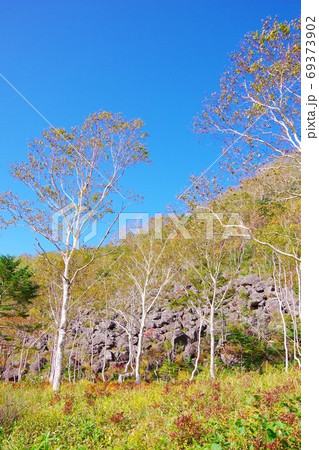 北海道鹿追町　白樺峠　千畳崩 69373902