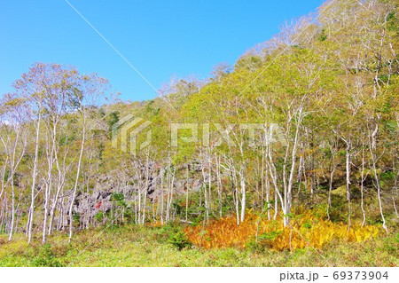 北海道鹿追町　白樺峠　千畳崩 69373904