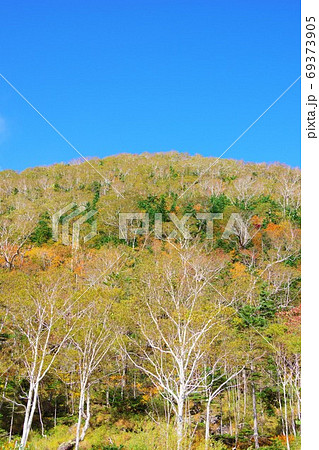 北海道鹿追町　白樺峠　西ヌプカウシヌプリ 69373905