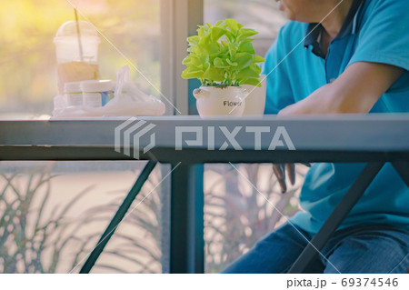 Artificial plants or plastic tree on table for decoration and welcome for customers in coffee shop. 69374546