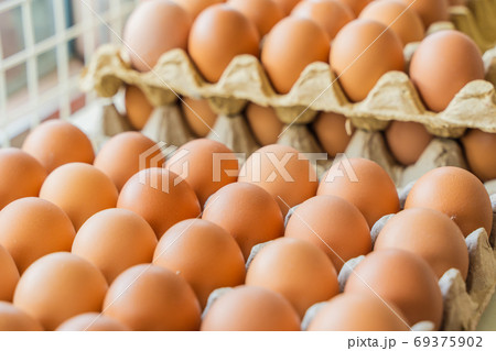 Chicken eggs in paper tray, stock photo. Chicken eggs in paper tray, stock photo. 69375902