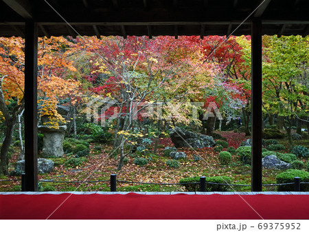 紅葉 京都 圓光寺 1 紅葉 京都 圓光寺 1 69375952