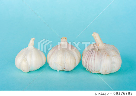 Group of garlic heads on blue background Group of garlic heads on blue background 69376395