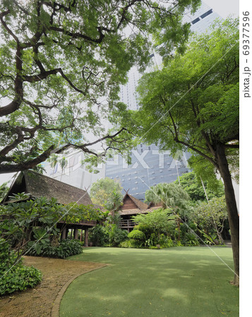 タイ・バンコク 木々に囲まれた都会のオアシス 緑地・庭園 タイ・バンコク 木々に囲まれた都会のオアシス 緑地・庭園 69377596