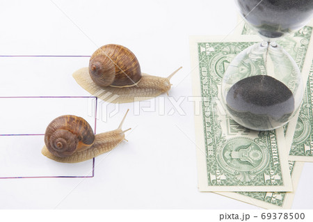 the snail is in a hurry to win in speed for the right to receive 69378500