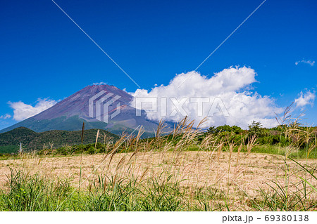 （静岡県）須山から望む、秋の富士山 69380138
