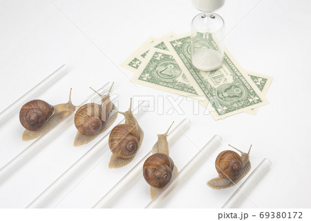 the snail is in a hurry to win in speed for the right to receive 69380172