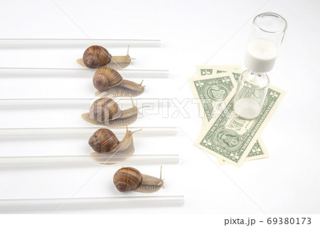 The snails compete first to reach the finish line with money. me The snails compete first to reach the finish line with money. me 69380173
