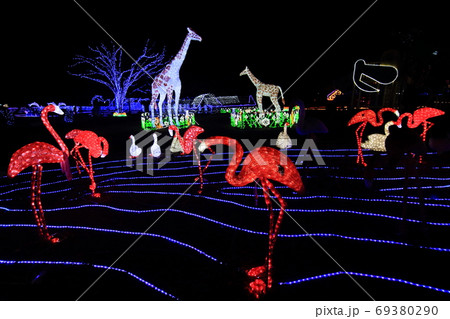 イルミネーション 69380290