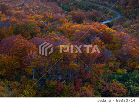朝焼けに染まる鳥海山山麓の紅葉 69380714