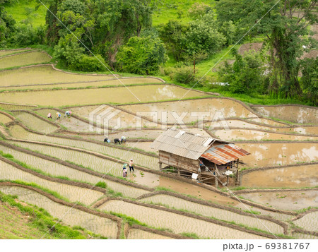 Planting season and indirect seeding 69381767