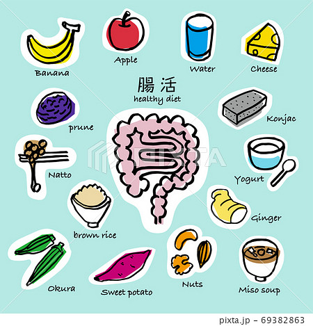 腸の動きを活発にしてくれる食べ物セット手書き線画 白フチ 腸の動きを活発にしてくれる食べ物セット手書き線画 白フチ 69382863