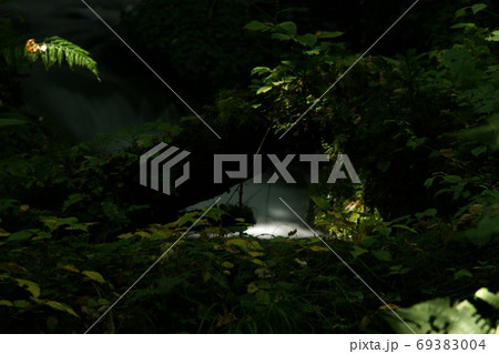 四季の散歩　秋　たじま高原植物園 69383004