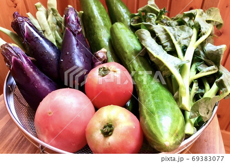 夏 野菜 盛り合わせ かご盛り ネット通販 定期便 お取り寄せ 5 夏 野菜 盛り合わせ かご盛り ネット通販 定期便 お取り寄せ 5 69383077