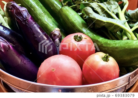 夏 野菜 盛り合わせ かご盛り ネット通販 定期便 お取り寄せ 7 夏 野菜 盛り合わせ かご盛り ネット通販 定期便 お取り寄せ 7 69383079