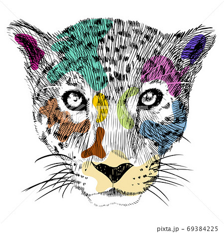 hand drawn of colorful cheetah heads hand drawn of colorful cheetah heads 69384225