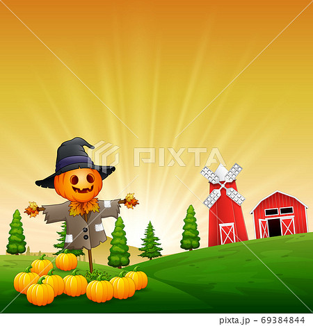 The funny scarecrow protects ripe pumpkins in a garden 69384844