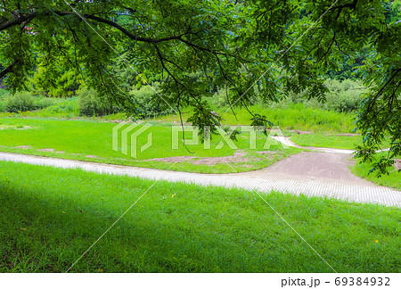 緑豊かな遊歩道 69384932