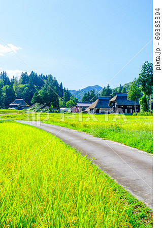 晩夏の農村風景(荻ノ島環状集落) 晩夏の農村風景(荻ノ島環状集落) 69385394