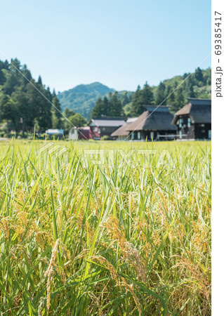 晩夏の農村風景(荻ノ島環状集落) 晩夏の農村風景(荻ノ島環状集落) 69385417