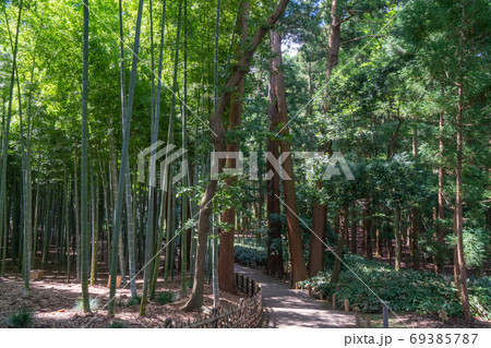 孟宗竹林（偕楽園） 69385787