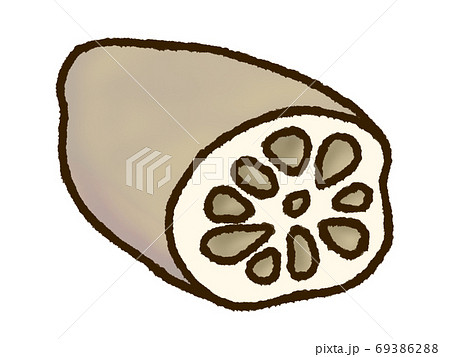 れんこんのイラスト素材 れんこんのイラスト素材