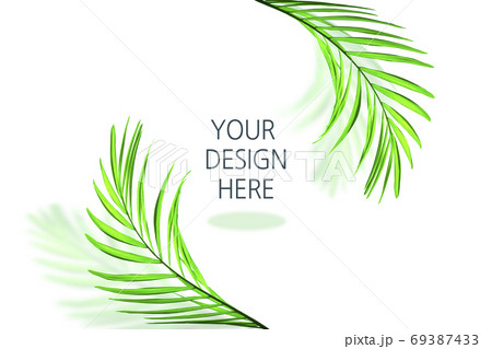 葉 木の葉 植物 69387433